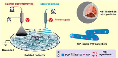 A combined electrohydrodynamic atomization method for preparing nanofiber/microparticle hybrid medicines